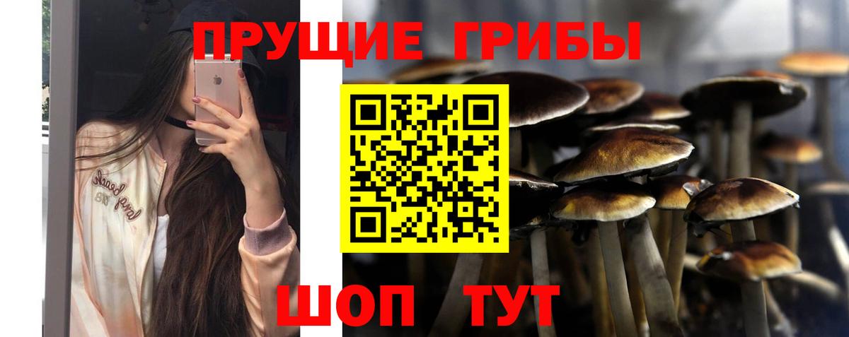 где продают   Галлюциногенные грибы прущие грибы  Вход с VPN  Галлюциногенные грибы Psilocybine cubensis  Мыски 