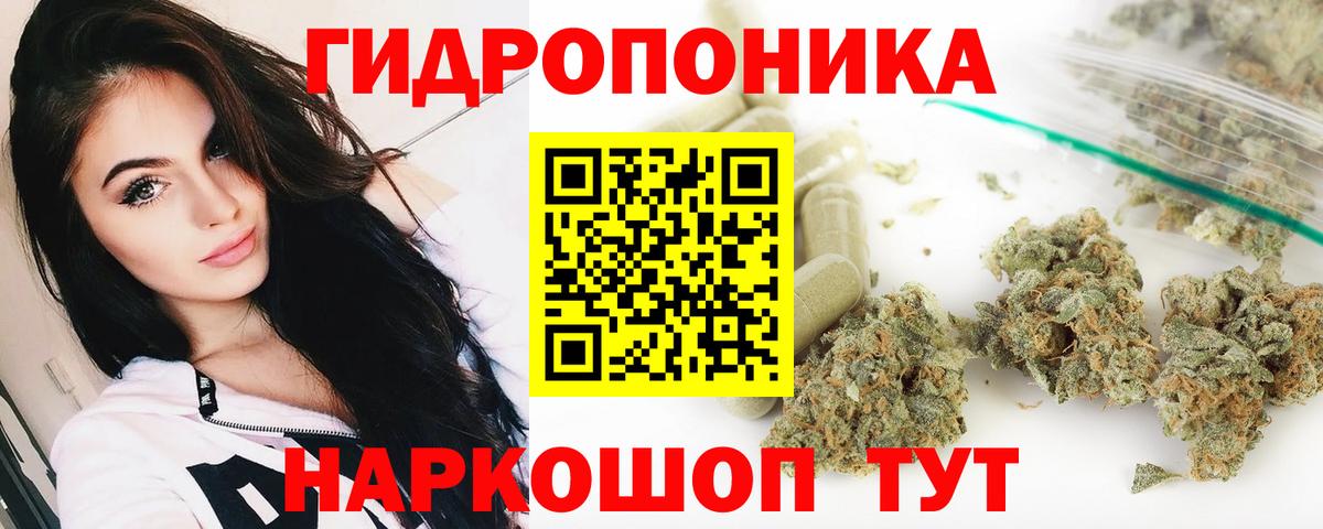 Бошки марихуана Amnesia  Вход с VPN  МАРИХУАНА тримм  Мыски 